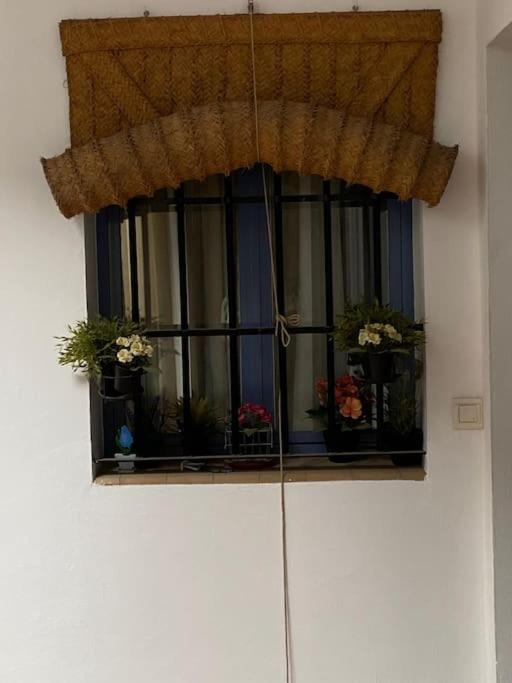 Apartament Hispalis Casa Pilatos